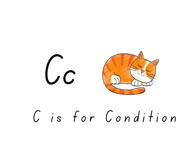 C is for Condition

